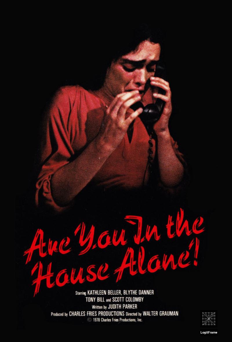Are You in the House Alone? 