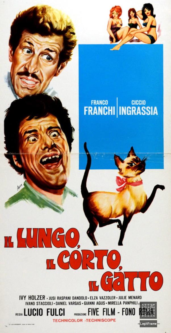Il lungo, il corto, il gatto 